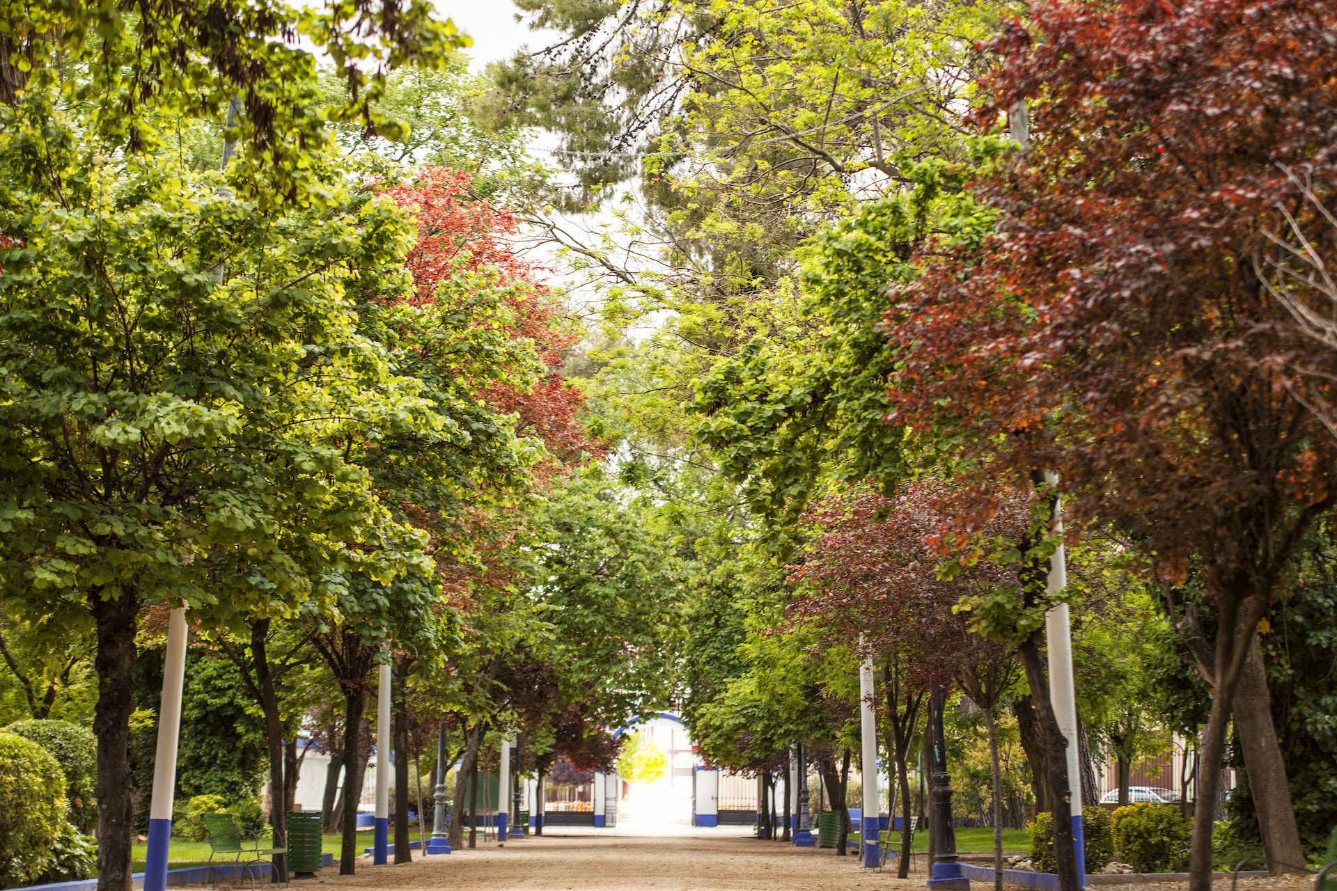 Pulmón verde Parque Municipal de Herencia